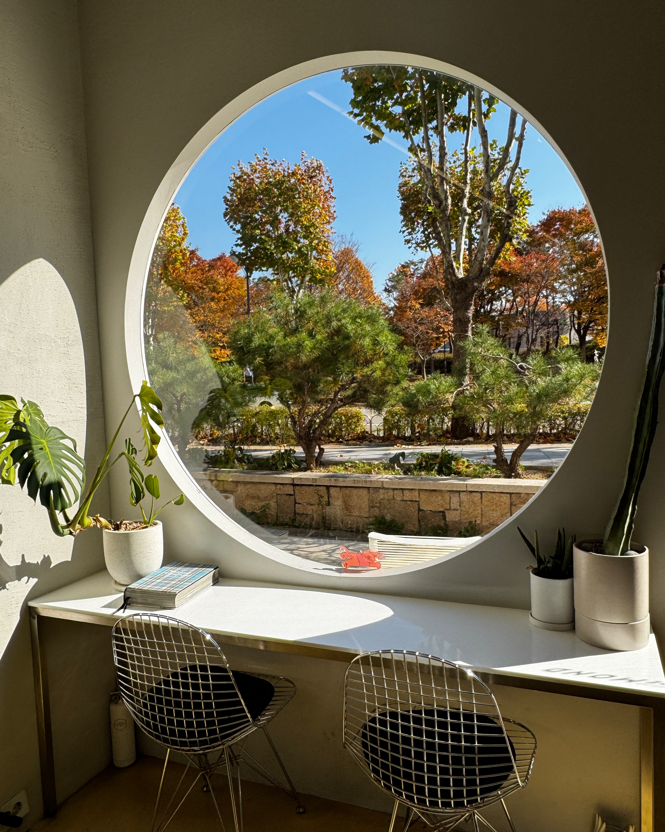 살롱드몬드 수원인계점